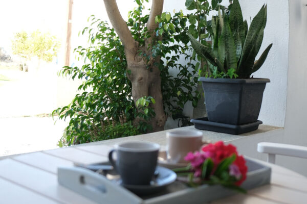 DELUXE SUITE GARDEN VIEW-01