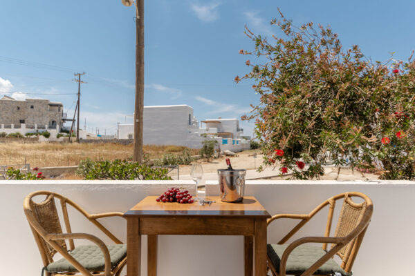 BIRBAS Executive Suite Garden View-02