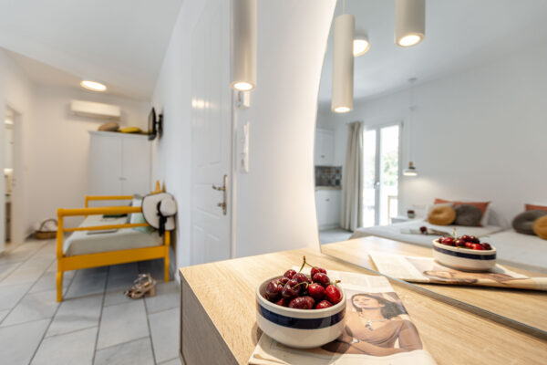 BIRBAS Executive Suite Garden View-05