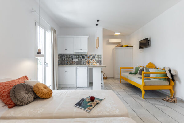 BIRBAS Executive Suite Garden View-06
