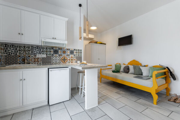 BIRBAS Executive Suite Garden View-07