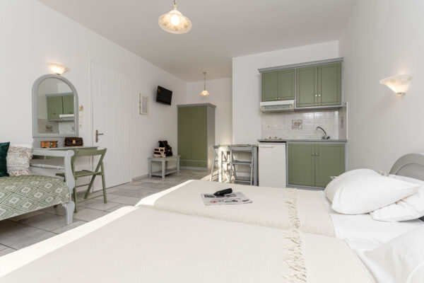 BIRBAS comfort apartment-07