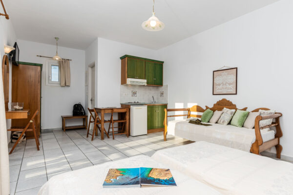 BIRBAS comfort apartment-14