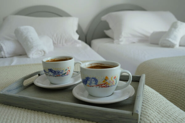 BIRBAS standard apartment-3